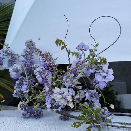 Apartments Poretti For 2,In Center Parking Free In The Yard,6 Min Beach Walk 로비니 외부 사진