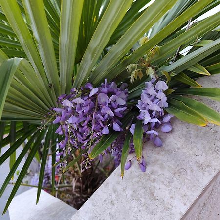 Apartments Poretti For 2,In Center Parking Free In The Yard,6 Min Beach Walk 로비니 외부 사진