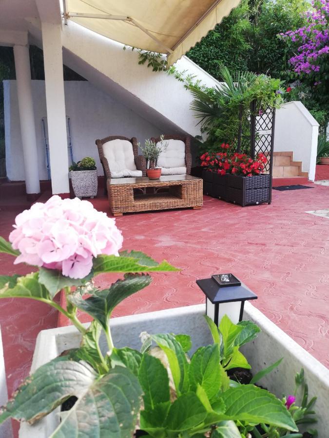 Apartments Poretti For 2,In Center Parking Free In The Yard,6 Min Beach Walk 로비니 외부 사진