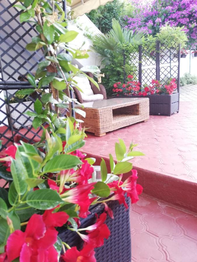 Apartments Poretti For 2,In Center Parking Free In The Yard,6 Min Beach Walk 로비니 외부 사진