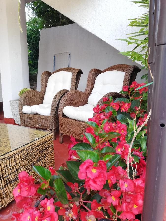 Apartments Poretti For 2,In Center Parking Free In The Yard,6 Min Beach Walk 로비니 외부 사진
