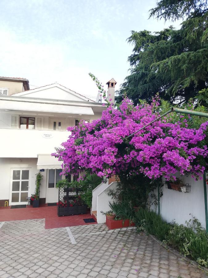Apartments Poretti For 2,In Center Parking Free In The Yard,6 Min Beach Walk 로비니 외부 사진