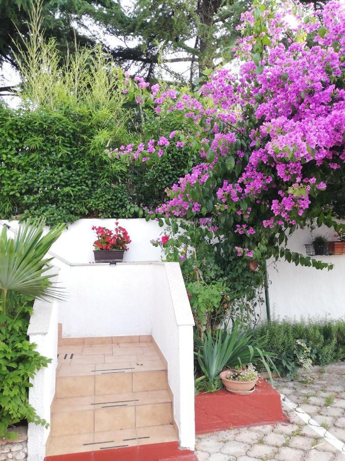 Apartments Poretti For 2,In Center Parking Free In The Yard,6 Min Beach Walk 로비니 외부 사진