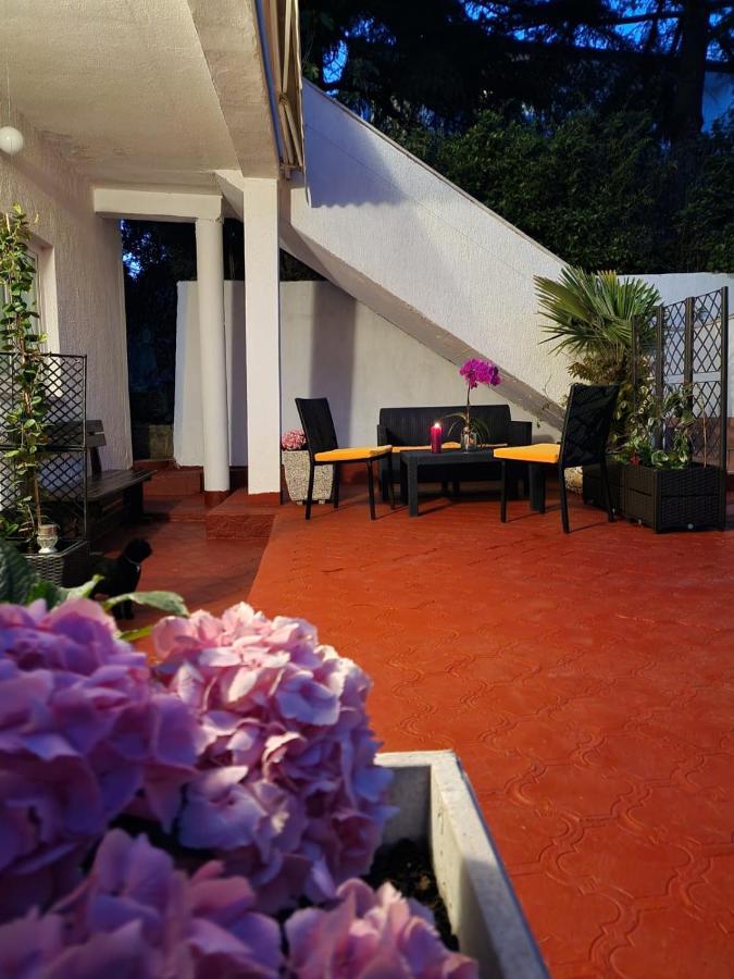 Apartments Poretti For 2,In Center Parking Free In The Yard,6 Min Beach Walk 로비니 외부 사진