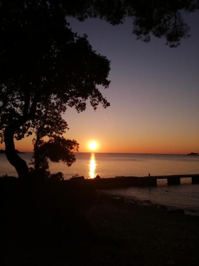 Apartments Poretti For 2,In Center Parking Free In The Yard,6 Min Beach Walk 로비니 외부 사진