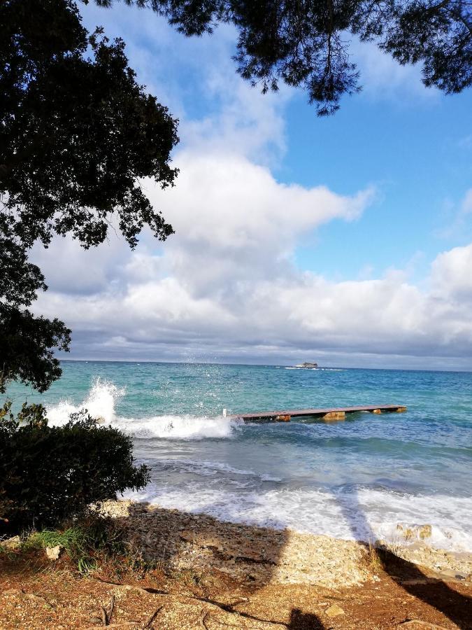 Apartments Poretti For 2,In Center Parking Free In The Yard,6 Min Beach Walk 로비니 외부 사진