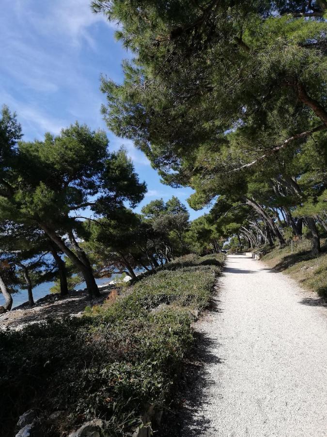 Apartments Poretti For 2,In Center Parking Free In The Yard,6 Min Beach Walk 로비니 외부 사진