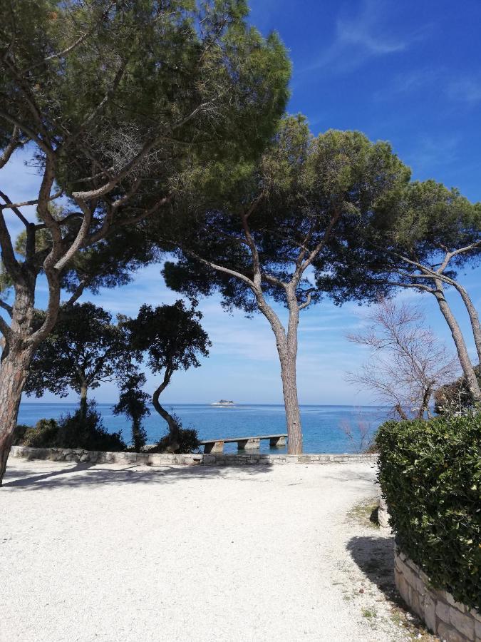Apartments Poretti For 2,In Center Parking Free In The Yard,6 Min Beach Walk 로비니 외부 사진