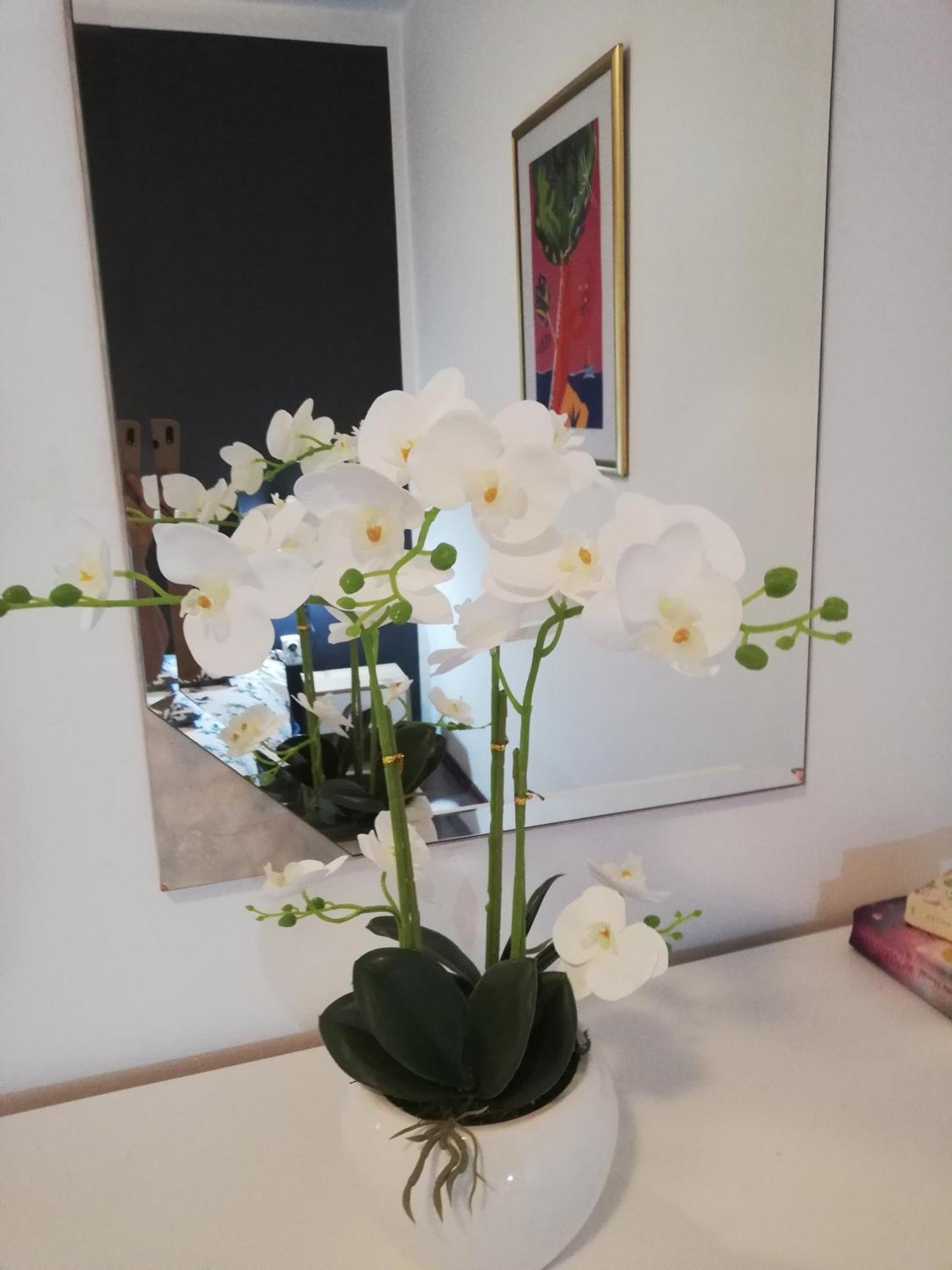 Apartments Poretti For 2,In Center Parking Free In The Yard,6 Min Beach Walk 로비니 외부 사진