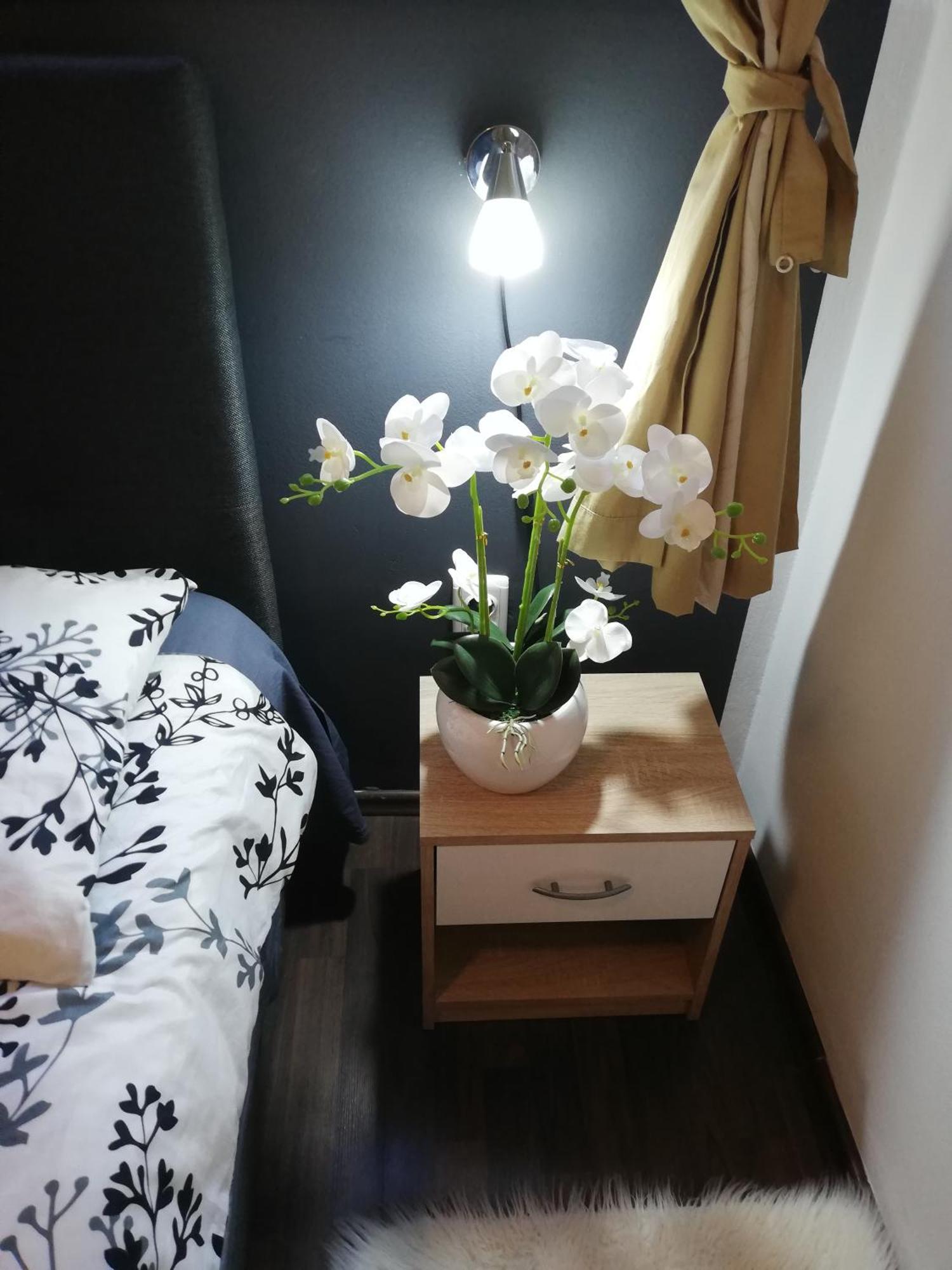 Apartments Poretti For 2,In Center Parking Free In The Yard,6 Min Beach Walk 로비니 외부 사진