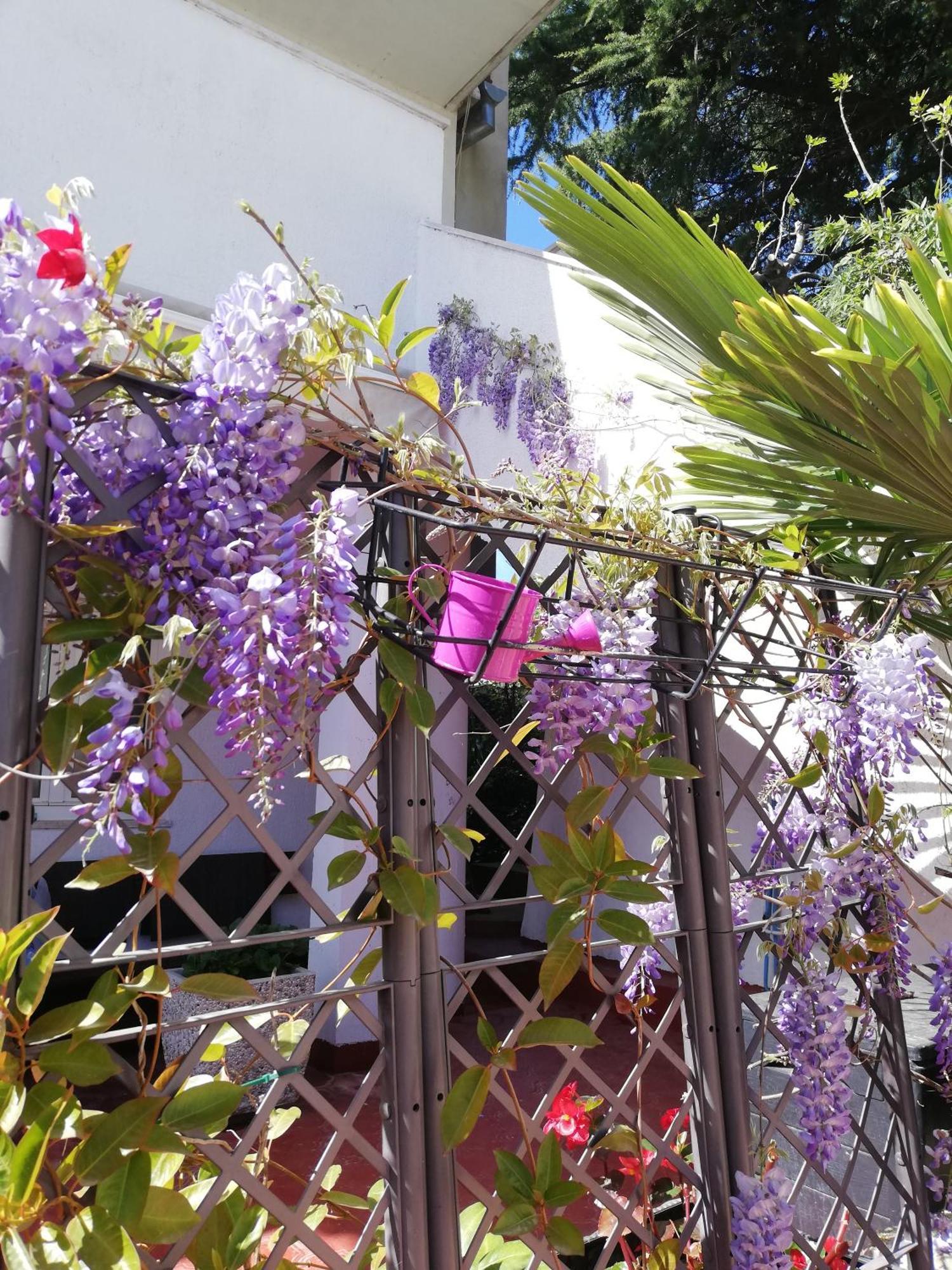 Apartments Poretti For 2,In Center Parking Free In The Yard,6 Min Beach Walk 로비니 외부 사진