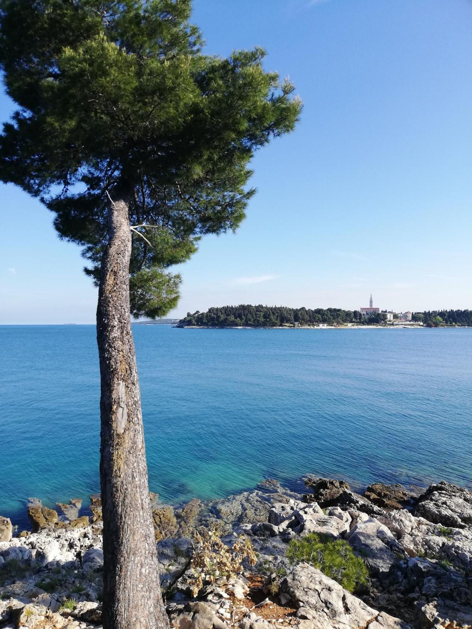 Apartments Poretti For 2,In Center Parking Free In The Yard,6 Min Beach Walk 로비니 외부 사진