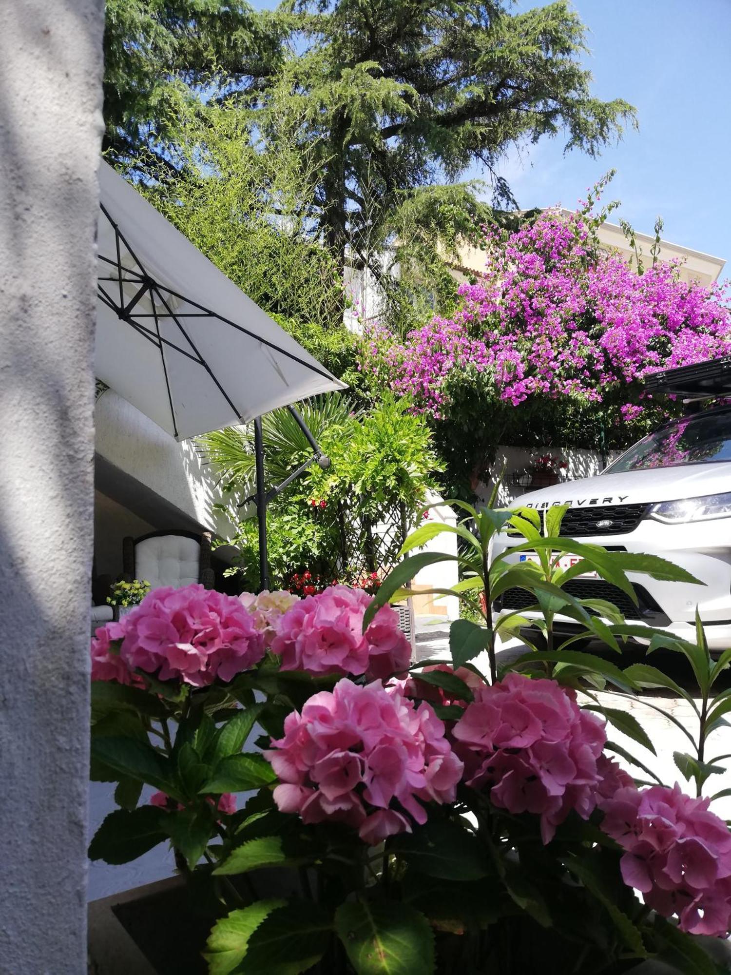 Apartments Poretti For 2,In Center Parking Free In The Yard,6 Min Beach Walk 로비니 외부 사진