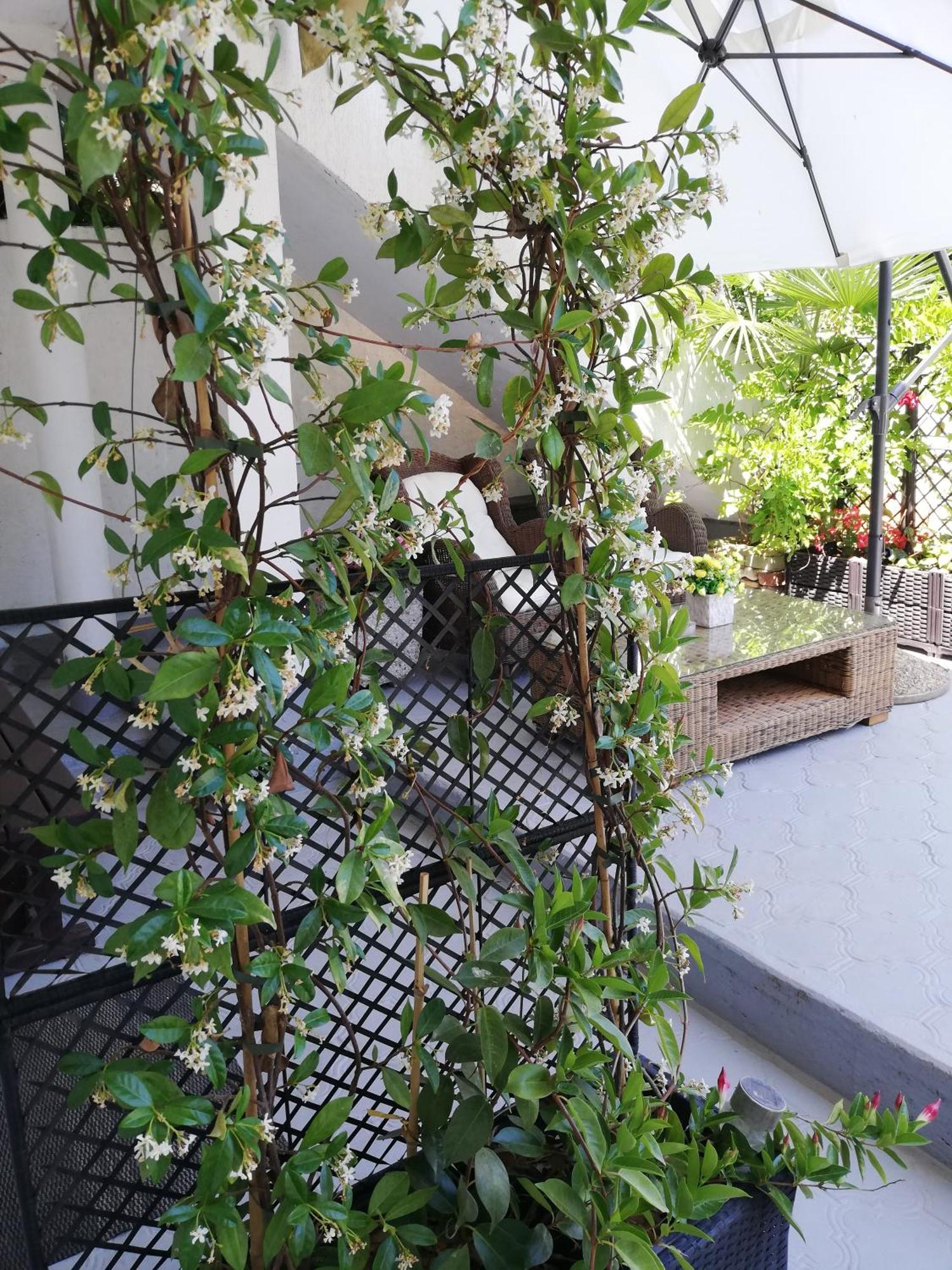 Apartments Poretti For 2,In Center Parking Free In The Yard,6 Min Beach Walk 로비니 객실 사진